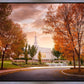 Palmyra Autumn