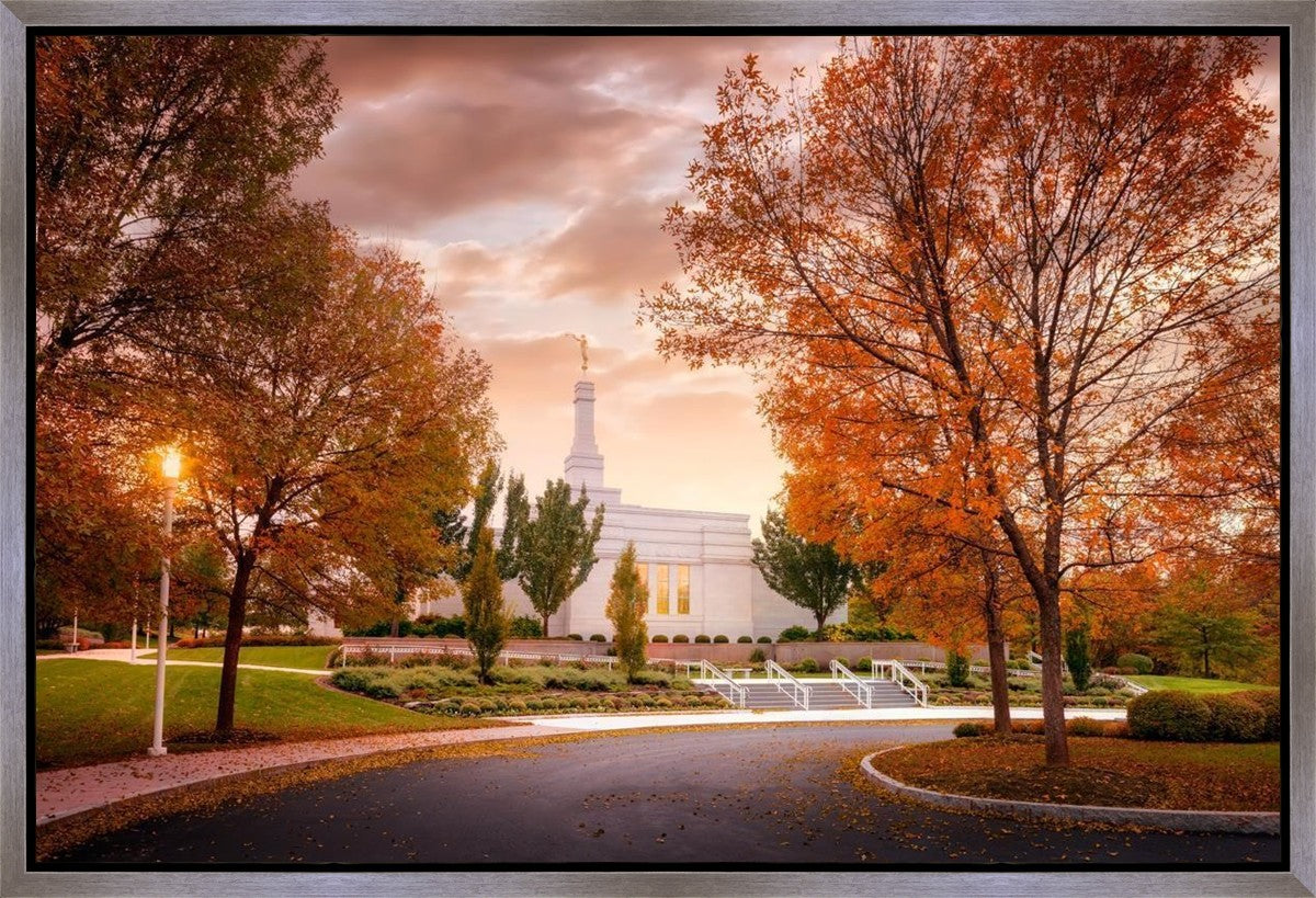 Palmyra Autumn
