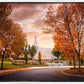 Palmyra Autumn
