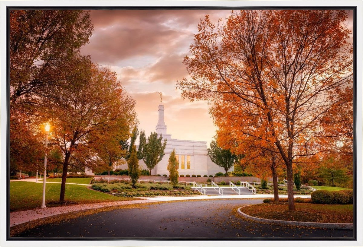 Palmyra Autumn