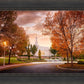 Palmyra Autumn