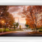 Palmyra Autumn