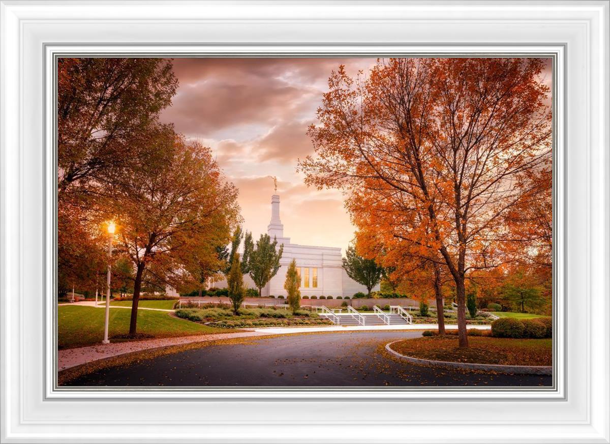 Palmyra Autumn