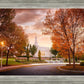 Palmyra Autumn