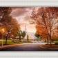 Palmyra Autumn