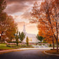 Palmyra Autumn