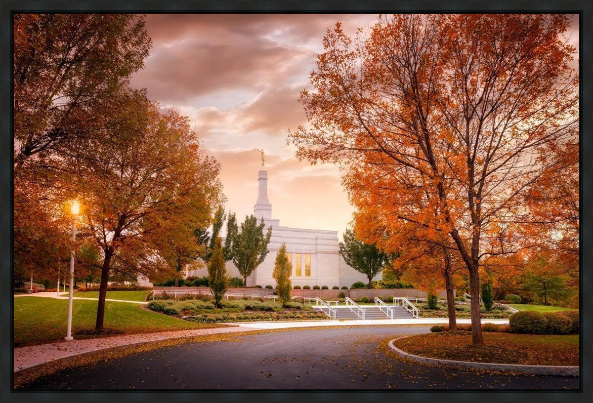 Palmyra Autumn
