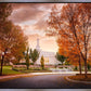Palmyra Autumn