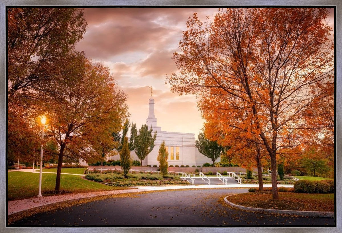 Palmyra Autumn