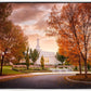 Palmyra Autumn