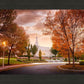 Palmyra Autumn