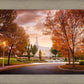 Palmyra Autumn