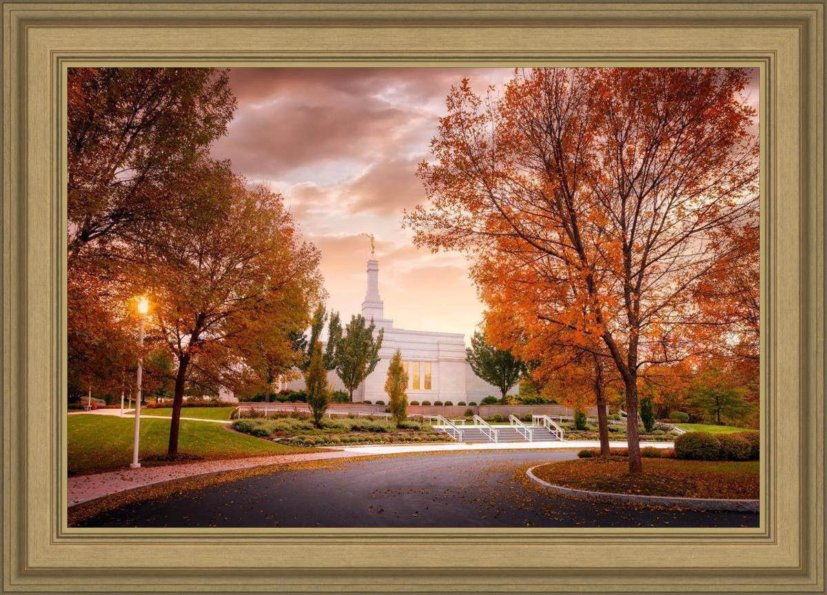 Palmyra Autumn
