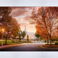 Palmyra Autumn