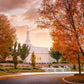 Palmyra Autumn