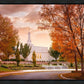 Palmyra Autumn