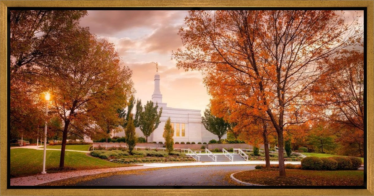 Palmyra Autumn