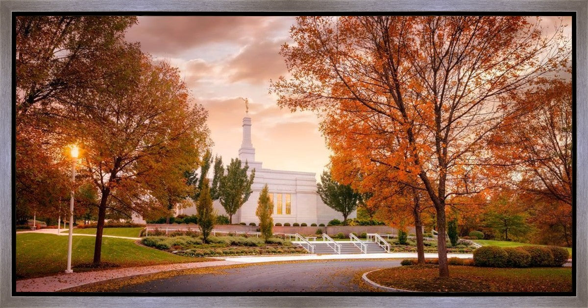 Palmyra Autumn
