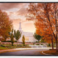 Palmyra Autumn