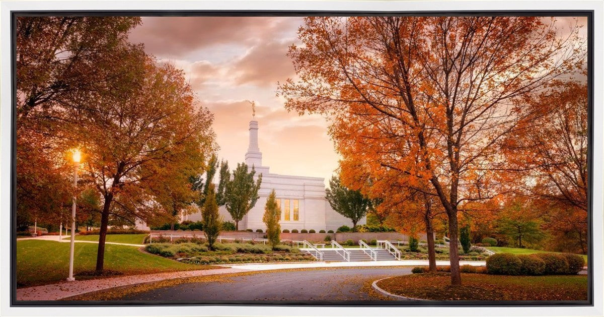Palmyra Autumn