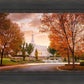 Palmyra Autumn