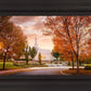 Palmyra Autumn