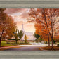 Palmyra Autumn