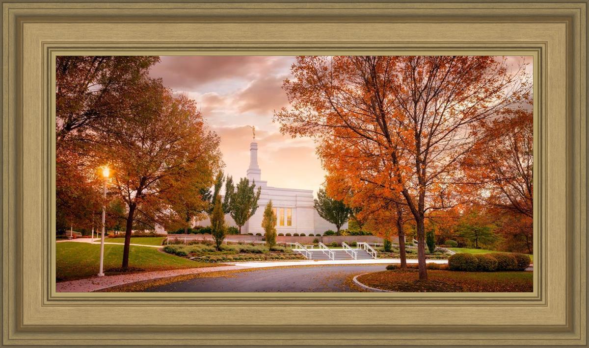 Palmyra Autumn