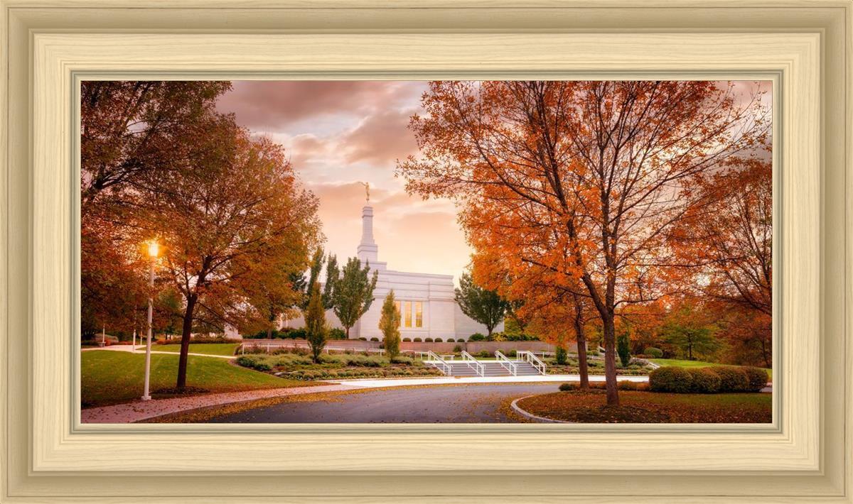 Palmyra Autumn