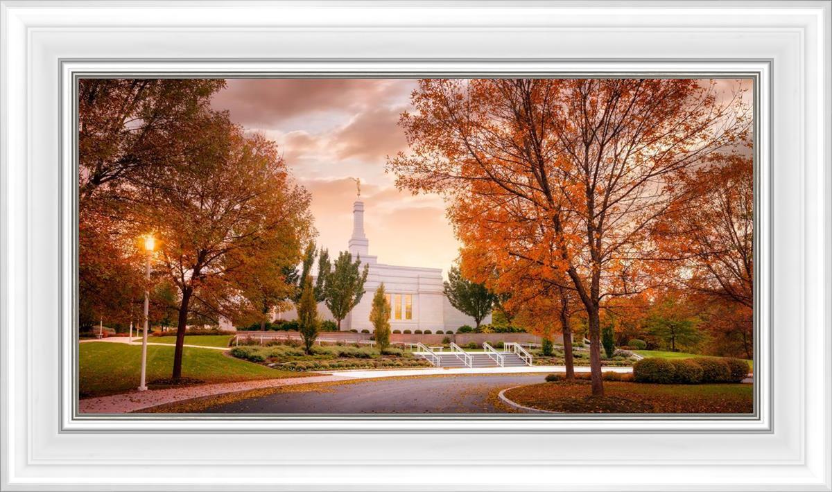 Palmyra Autumn