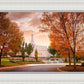 Palmyra Autumn