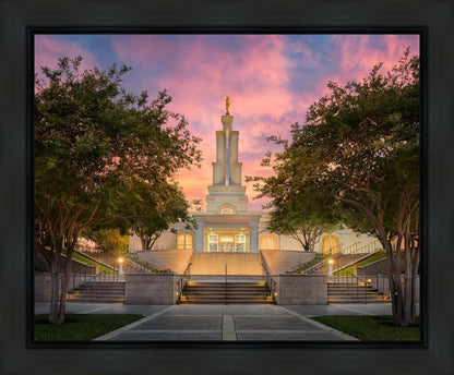 San Antonio Fiery Glow