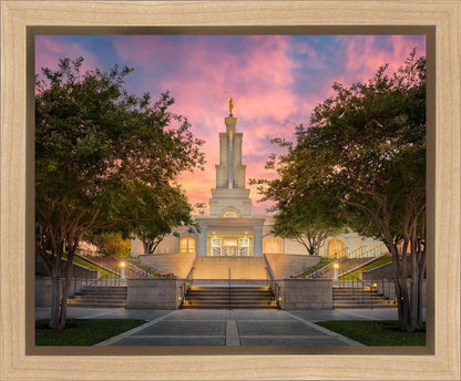 San Antonio Fiery Glow