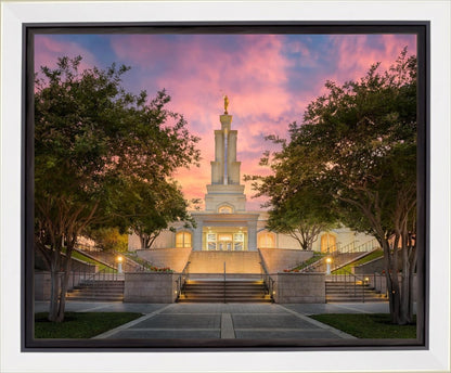 San Antonio Fiery Glow