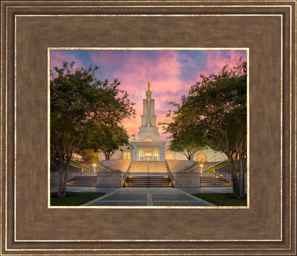 San Antonio Fiery Glow