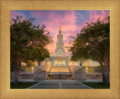 San Antonio Fiery Glow