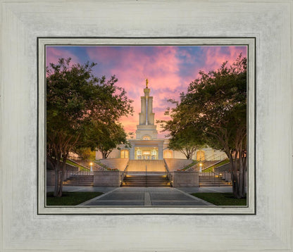 San Antonio Fiery Glow