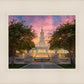 San Antonio Fiery Glow