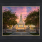 San Antonio Fiery Glow