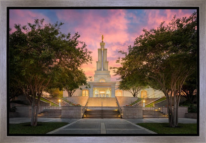 San Antonio Fiery Glow