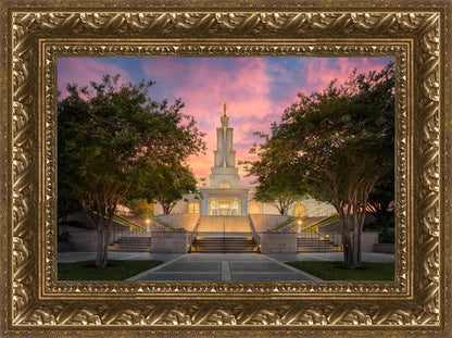 San Antonio Fiery Glow