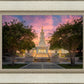 San Antonio Fiery Glow