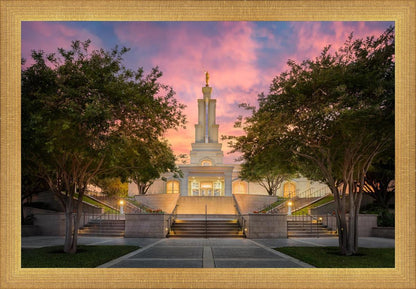 San Antonio Fiery Glow