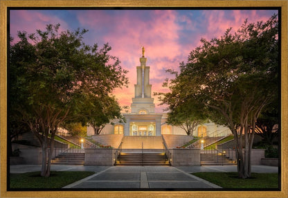 San Antonio Fiery Glow