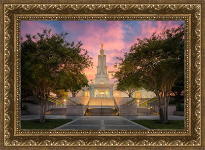 San Antonio Fiery Glow