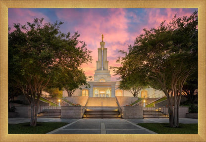 San Antonio Fiery Glow