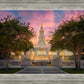 San Antonio Fiery Glow