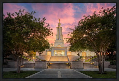 San Antonio Fiery Glow