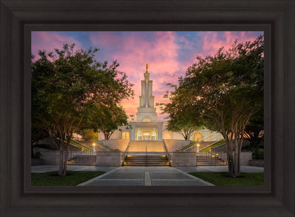 San Antonio Fiery Glow