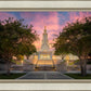 San Antonio Fiery Glow
